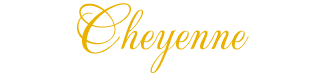 Cheyenne Aircraft Appraisers